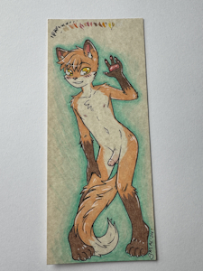 Cut Fox