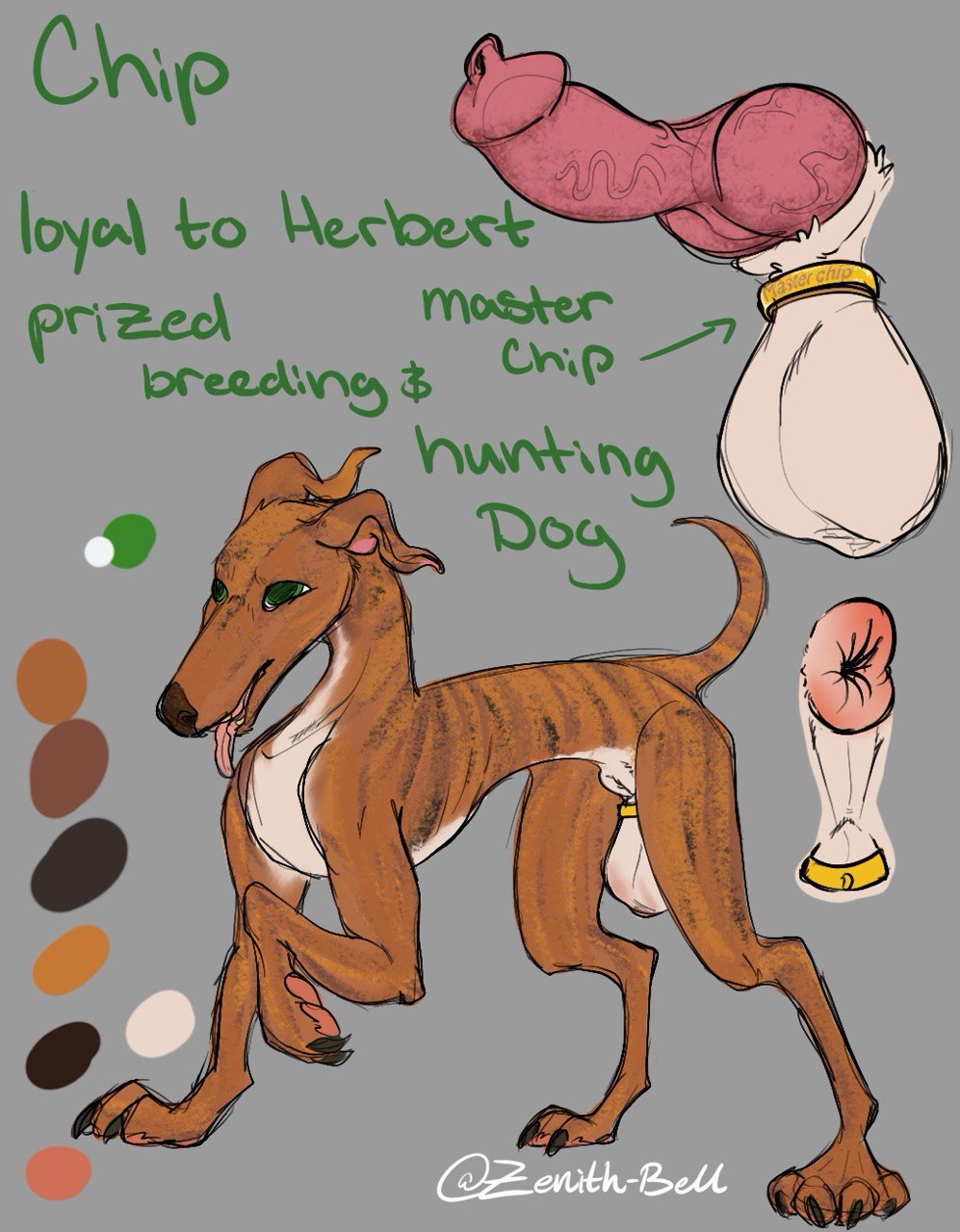 5722861_ZenithBell_dog.jpg