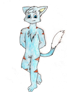 Blue cat adoptable! (Sold)