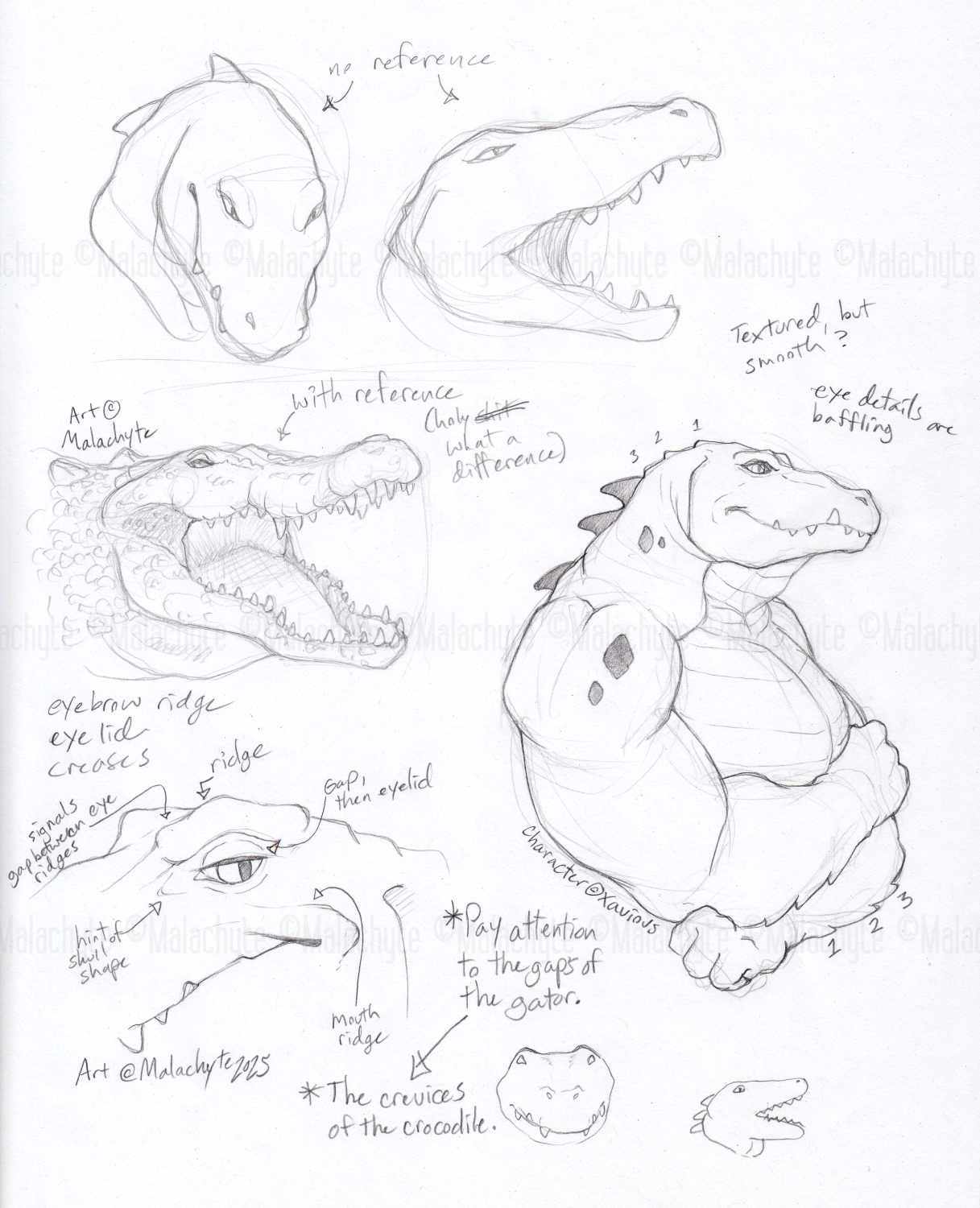 5724130_Malachyte_02-28-25_trad_study_sketch_-_xavious_sml_wm.png