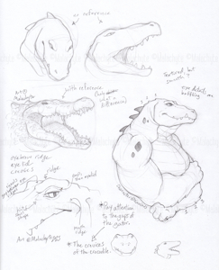 Xavious Study Sketches (February)