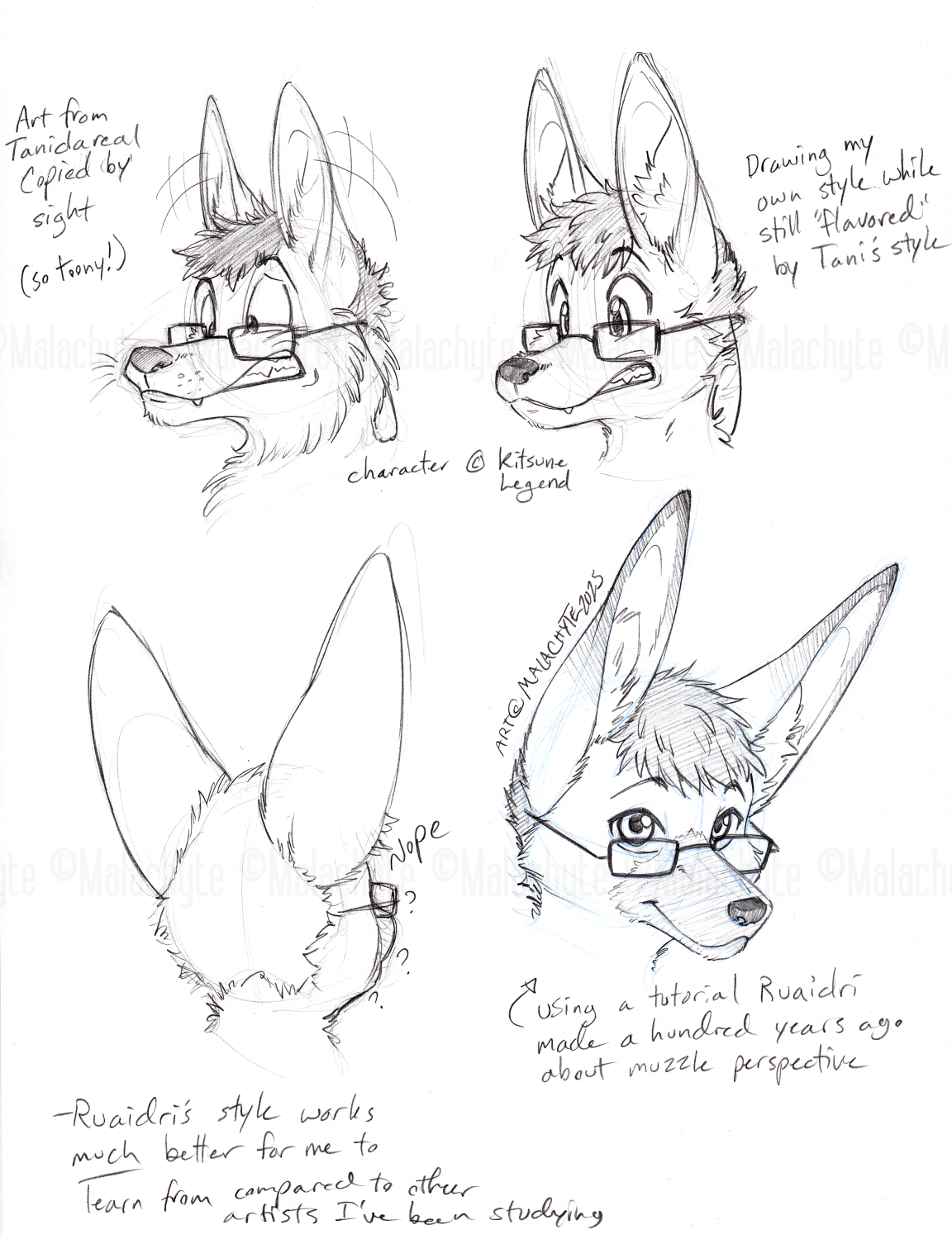 5724175_Malachyte_02-28-25_trad_study_sketch_-_kitsunelegend_sml_wm.png