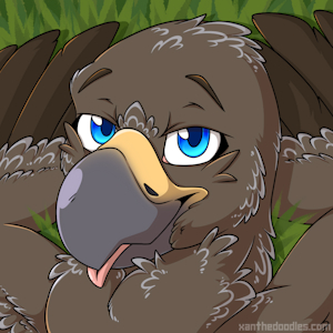 [C] Colin Icon