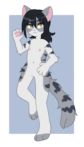 Cat Adopt