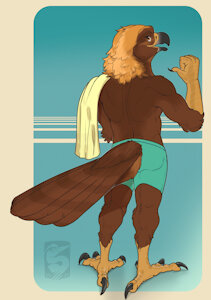 5732454_Ferobird69_sawyer_back.jpg