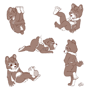 5733850_NekoStar_shasta.png