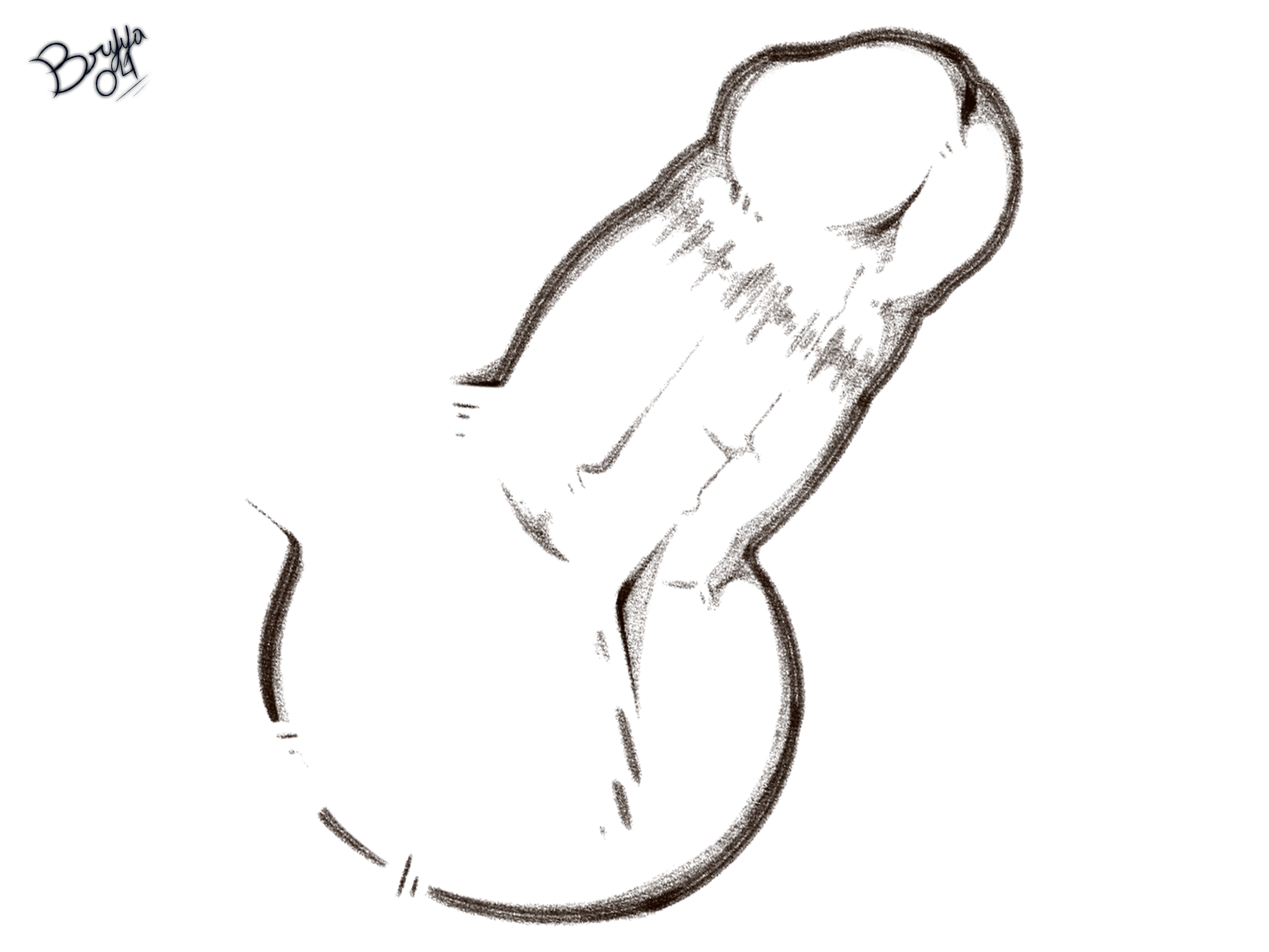 5734976_Bryya04_close_up_cut_l.png