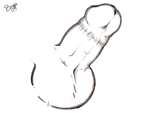 5734976_Bryya04_close_up_cut_l.png
