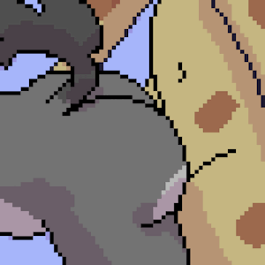 Jenoody pixel test