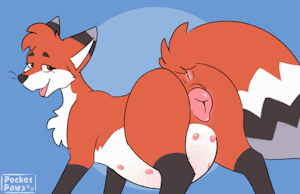 (Animated!) Preggy Cookie