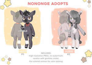 Adoptables auction