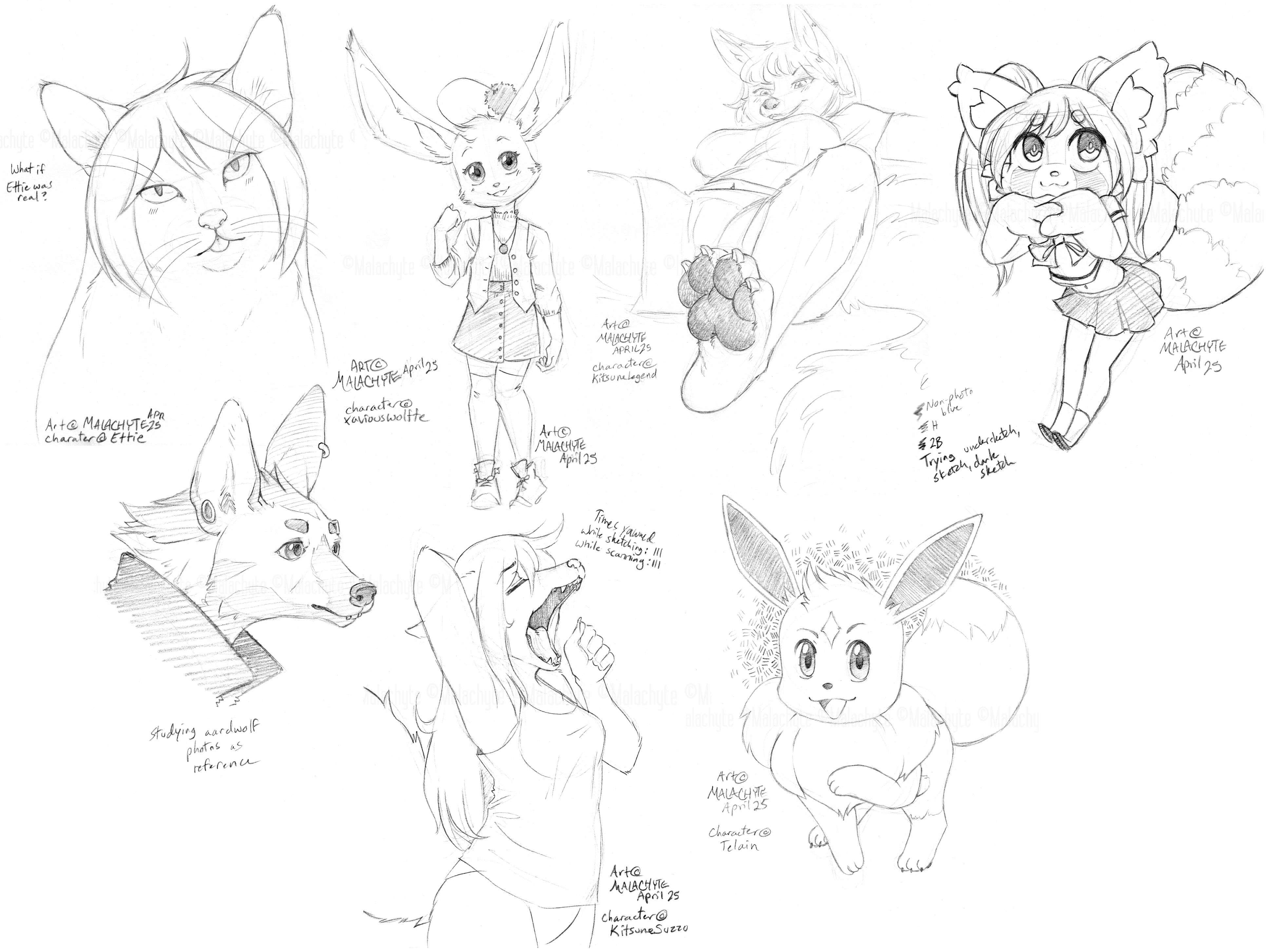 5738544_Malachyte_04-30-25_trad_study_sketch_-_compilation.png