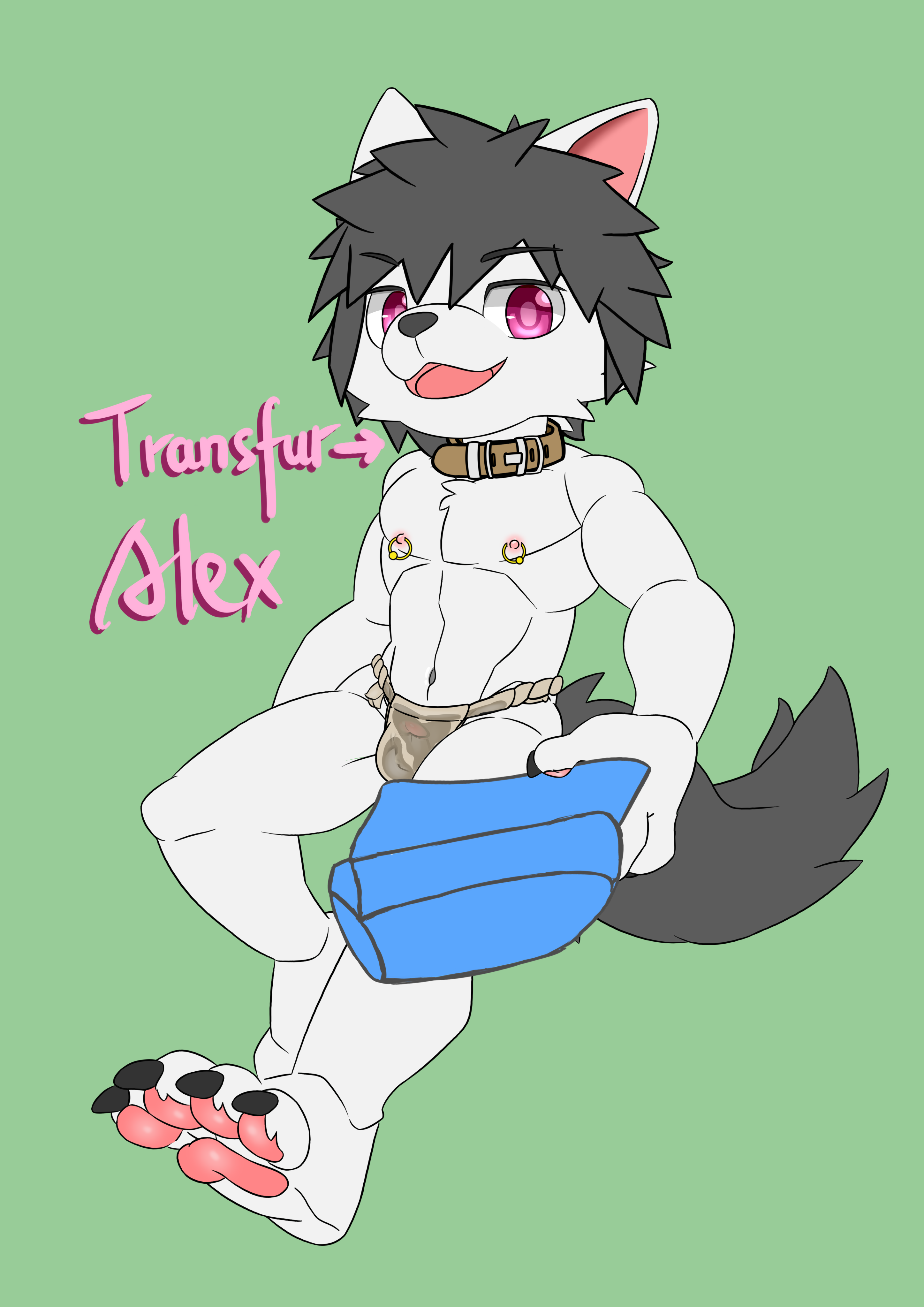 5738633_Homfon_alex-fur.png
