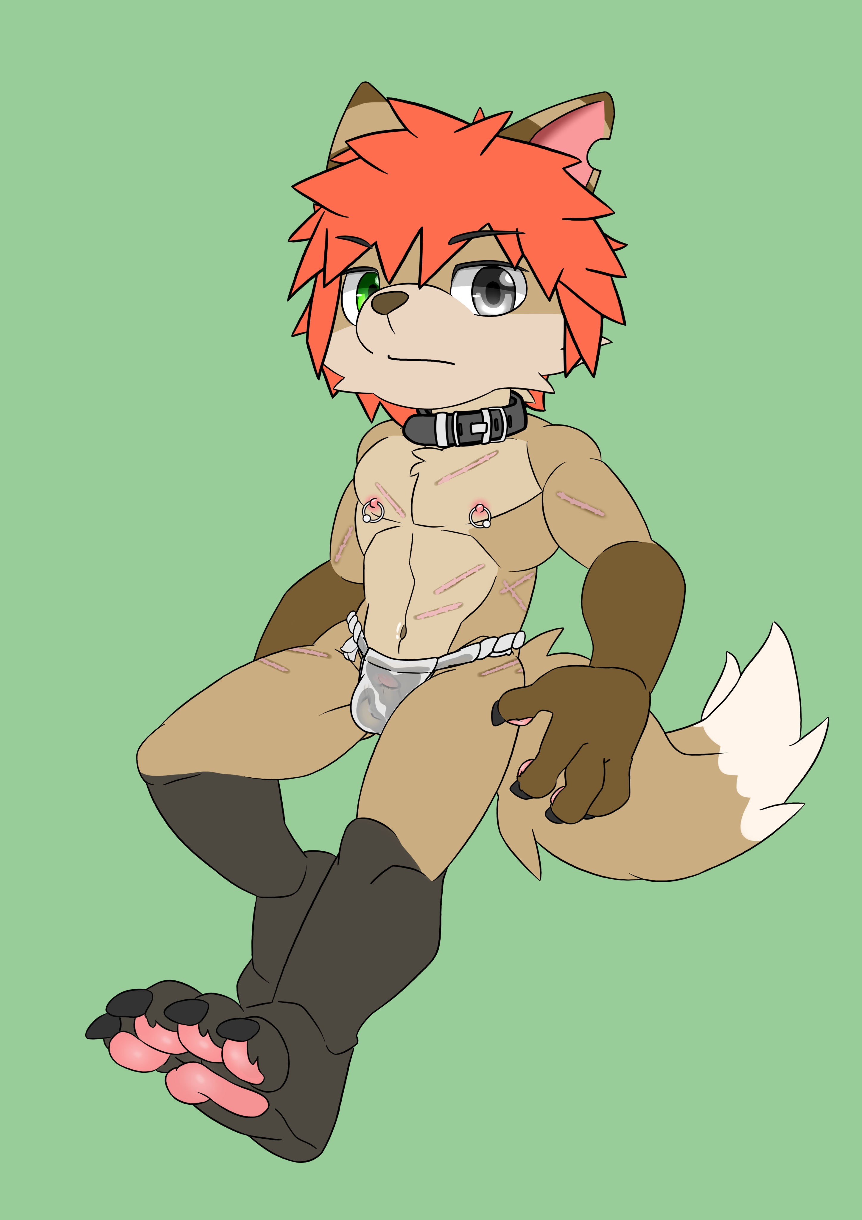 5738635_Homfon_fom-fur.png