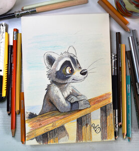 International Raccoon Appreciation Day