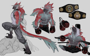 Character (Secondary): Akuma