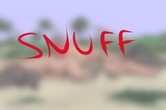 October series- Tsunami Victims