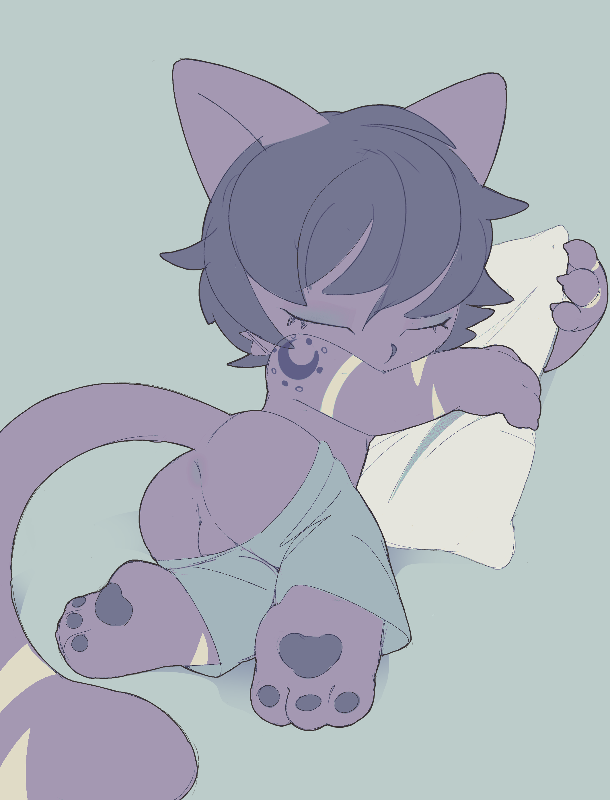 5746939_Quinto_cat2.png