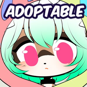 Adoptable: Racoon baby