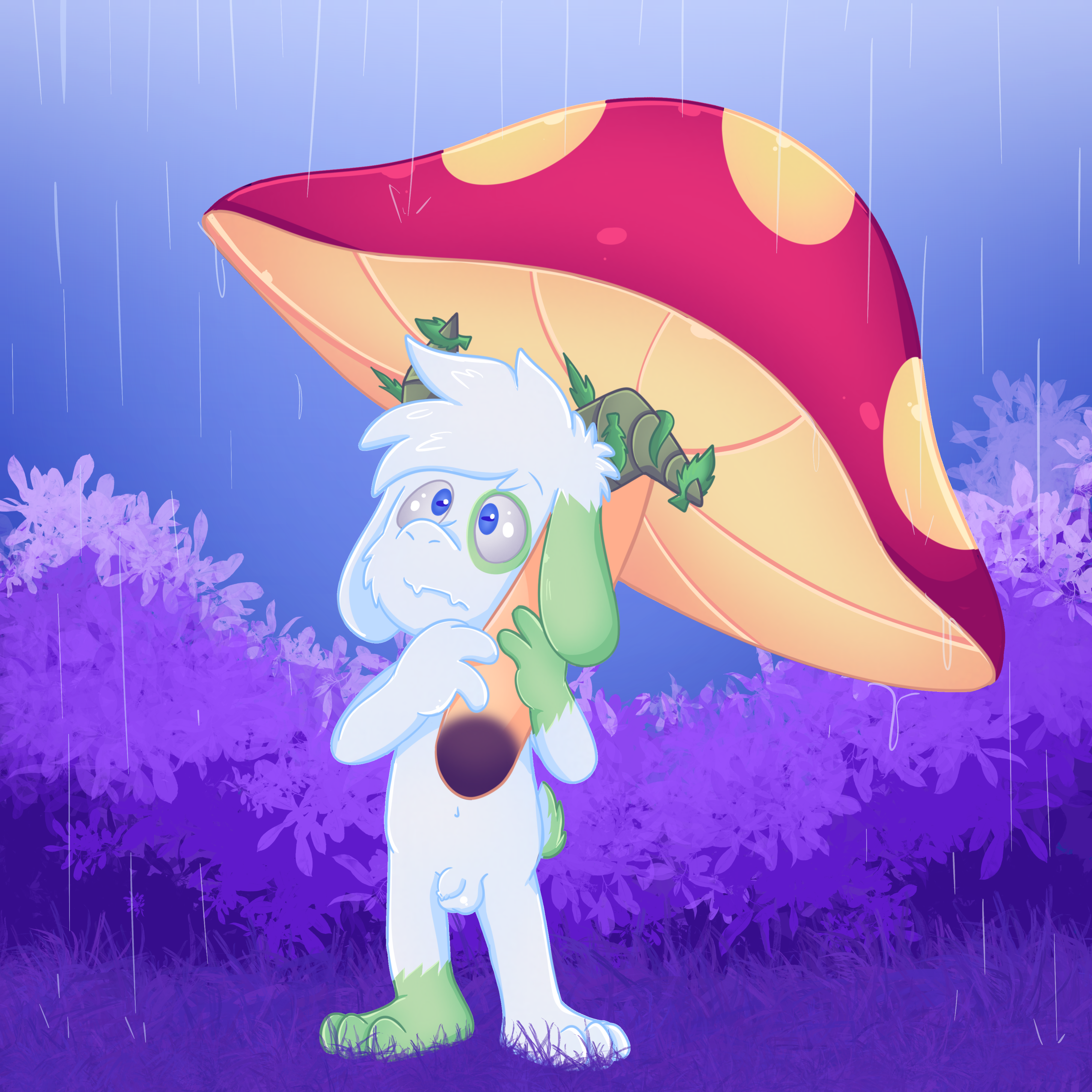 5752380_KVicko_fungi2.png