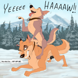 Sled Dog Saturday #8