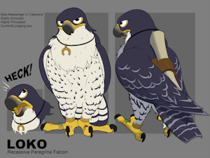 Loko
