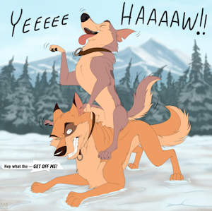Sled Dog Saturday #8 SFW alt