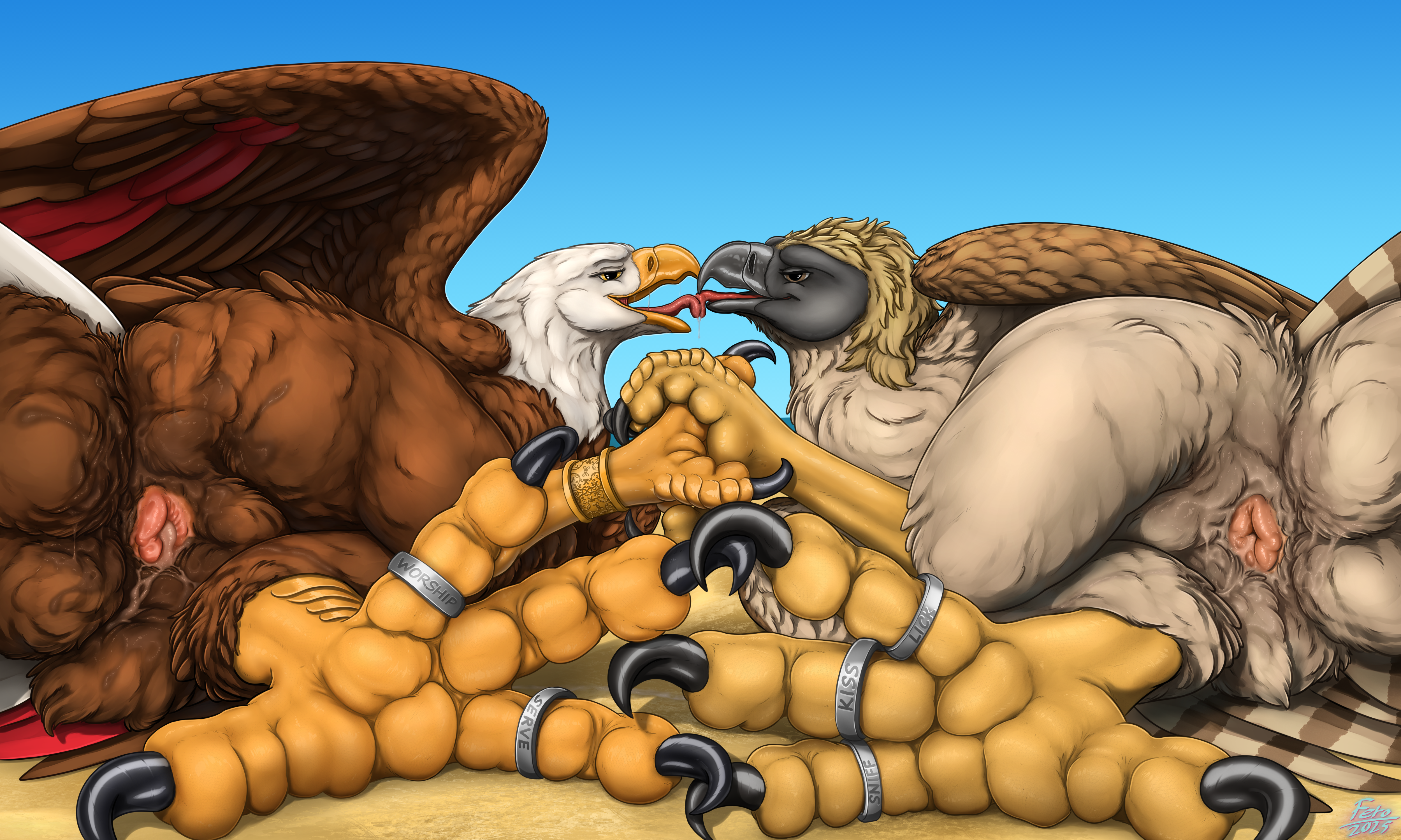 5761825_Ferobird69_pirate_x_annie_b.png