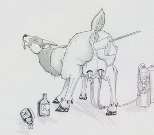 Deer Milk