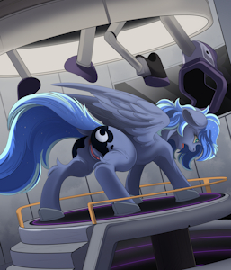 Reuse for princess 1/3