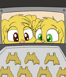 Cookies 3