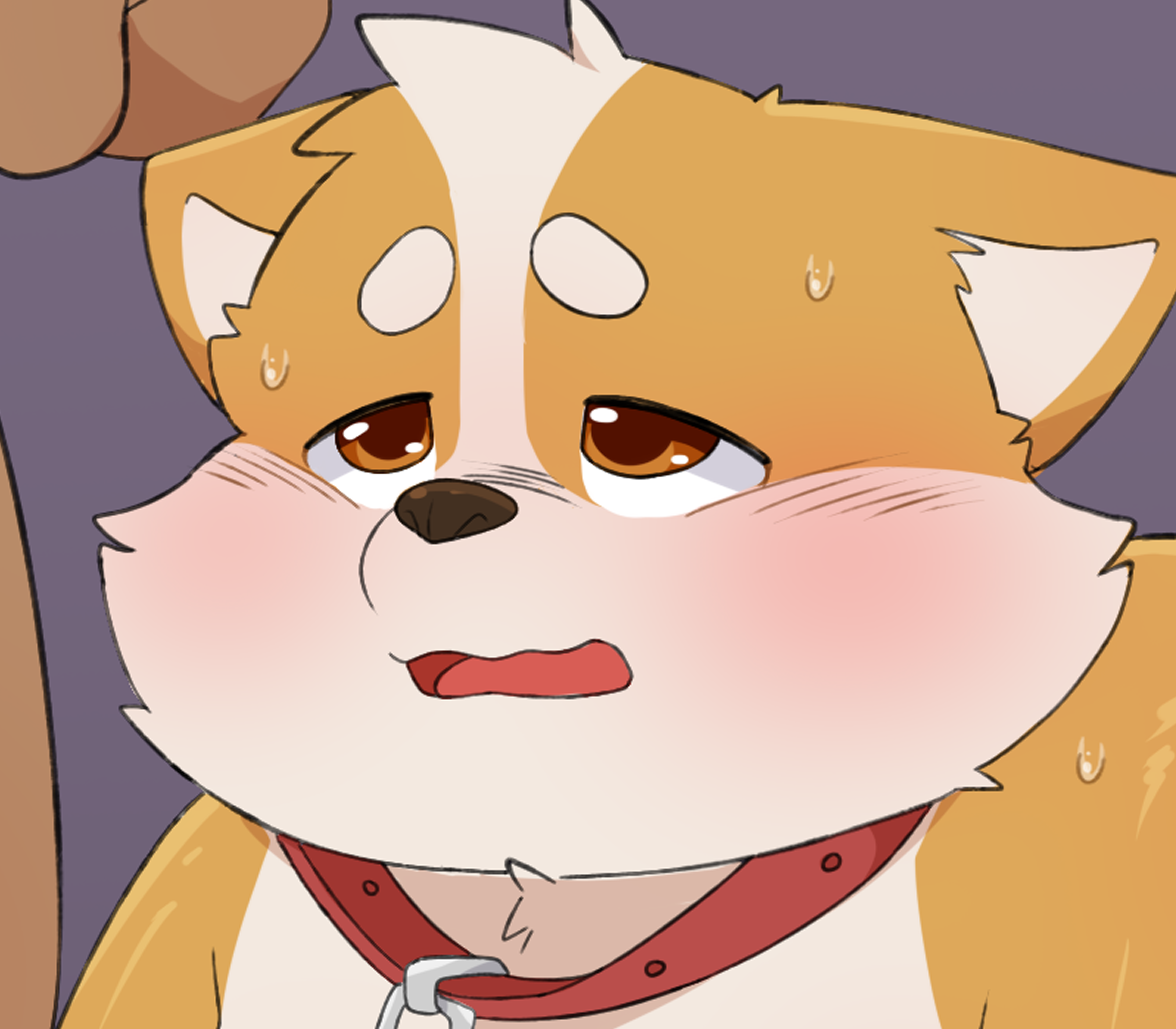 5766166_Kotarooo_unreleased_content_1.png