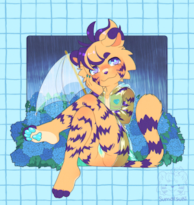 Rain and Hydrangeas