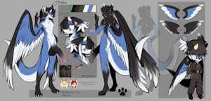 Felix's Refsheet