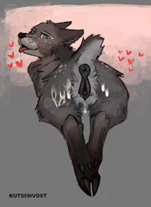 5770486_Nightdancer_backside.jpg