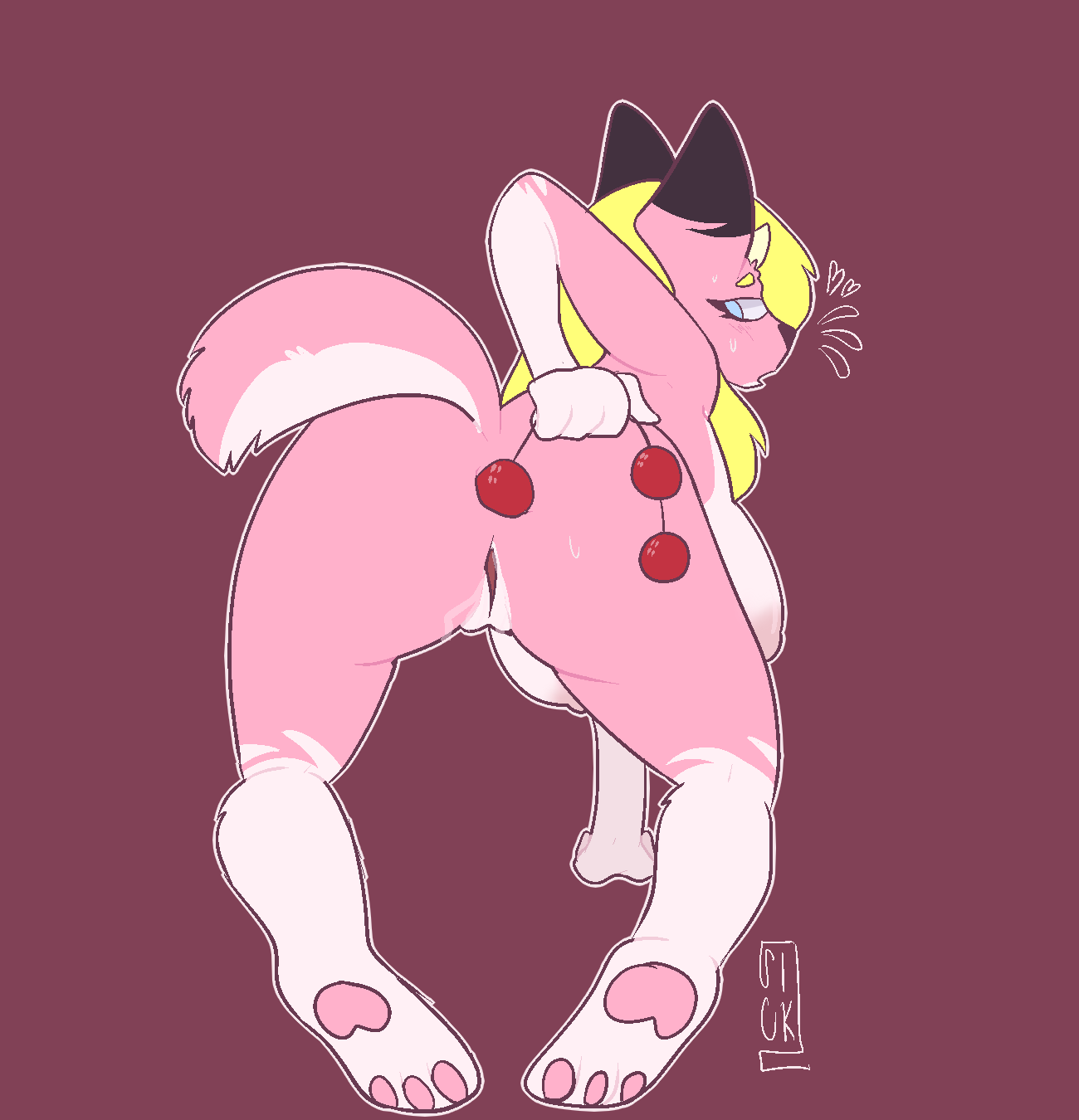 5771329_Roketchu_79345086_635667460541827_4163554185939255296_n.png