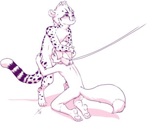 Visiting the felines