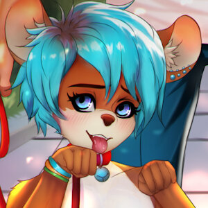 PetPlay!!!