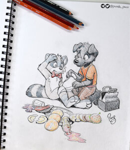 5783436_pandapaco_1175marauder_raccoon_photo.jpg
