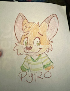 5783439_pandapaco_1177_01pyro.jpg