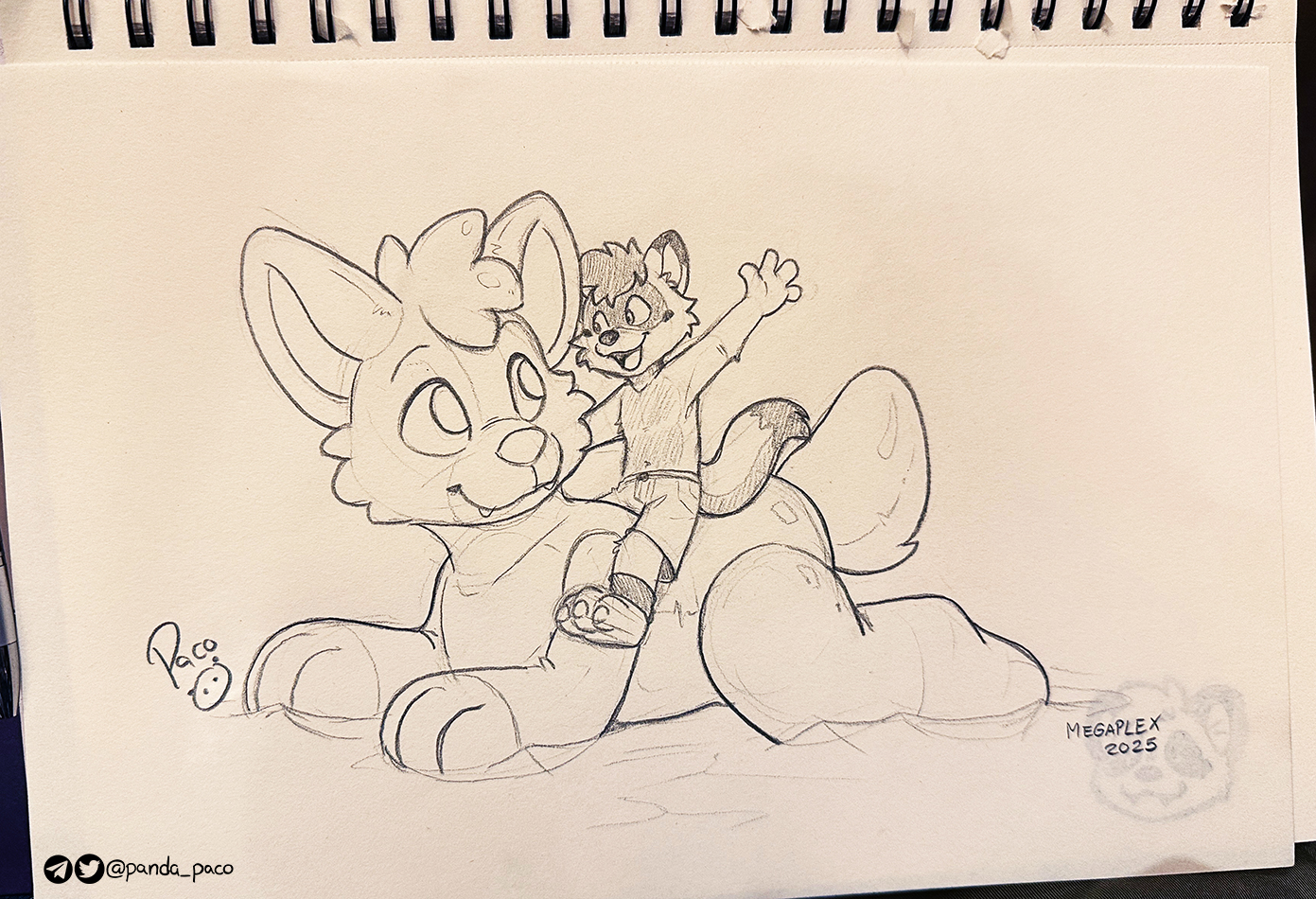 5783442_pandapaco_1179jazzythebunfox.jpg