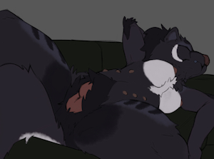Sleeping Wolf Color