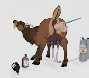 Deer Milk Color
