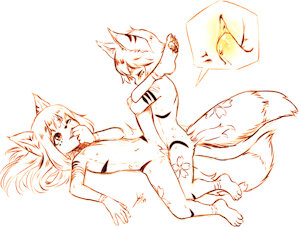 NICOFOX