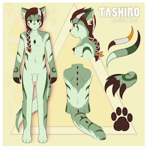 Tashiro
