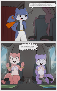 The twins and the plane