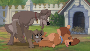 Lady, Tramp and Scamp in-between