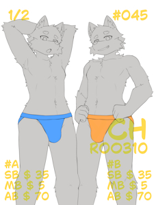✨ YCH #045 Auction is Open! 🌟
