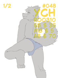 ✨ YCH #048 Auction is Open! 🌟