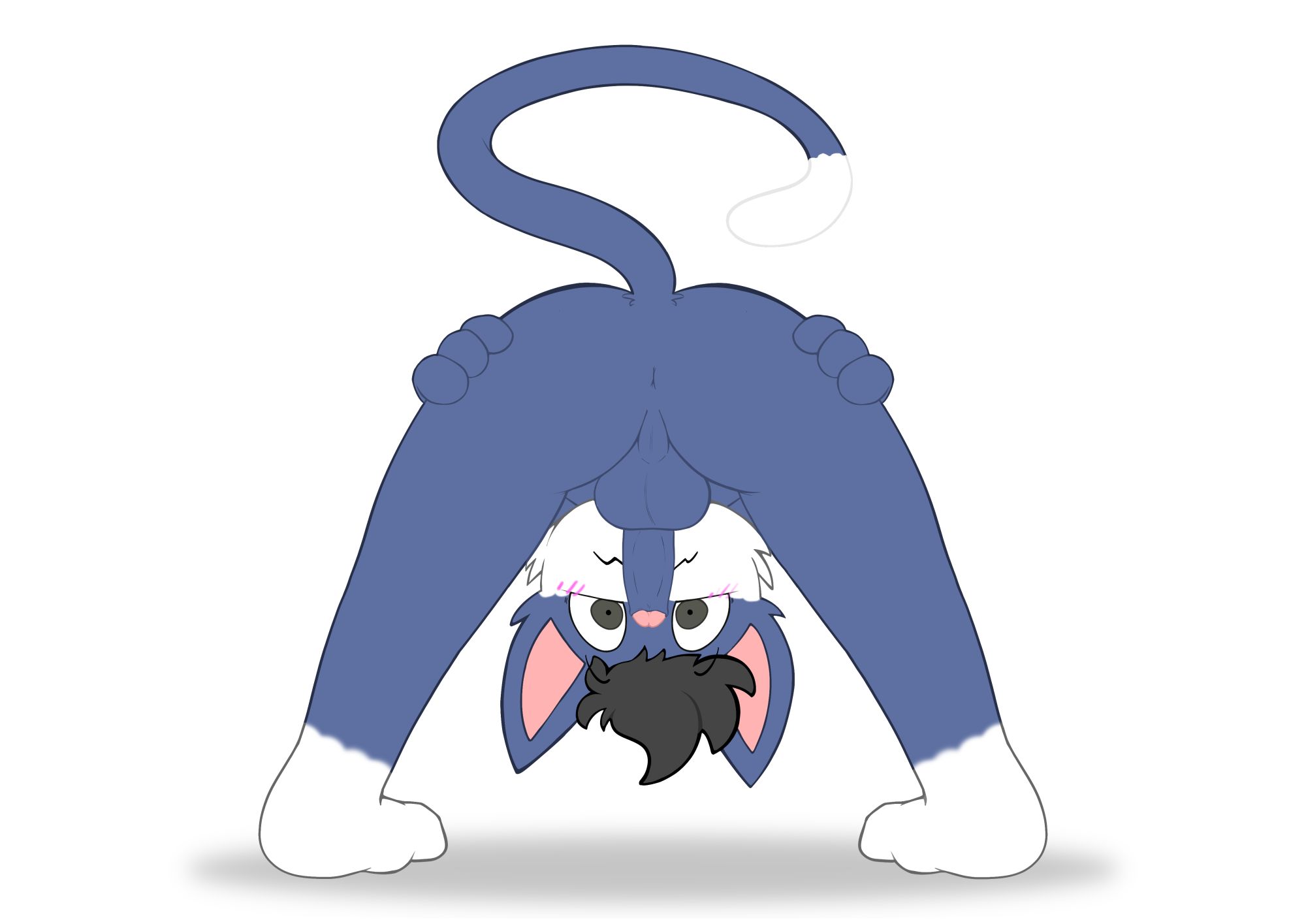5794871_CloudHusky_the_goods_-_nervous.jpg